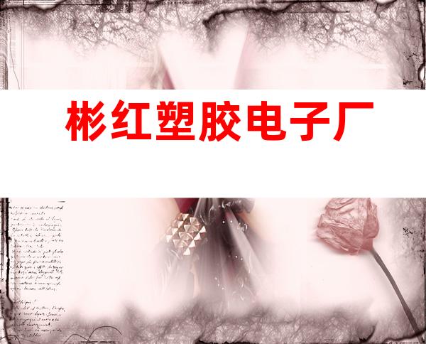 彬红塑胶电子厂