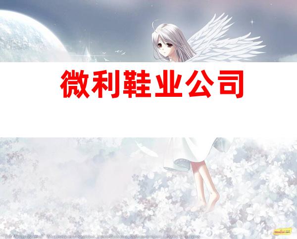 微利鞋业公司