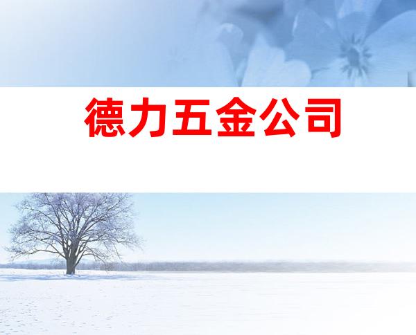 德力五金公司