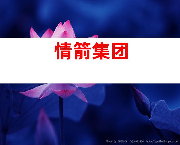情箭集团