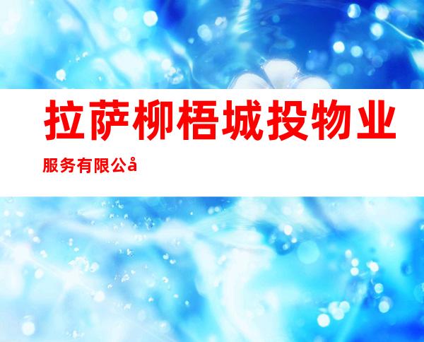 拉萨柳梧城投物业服务有限公司