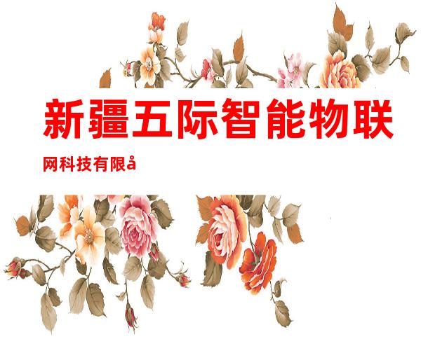 新疆五际智能物联网科技有限公司