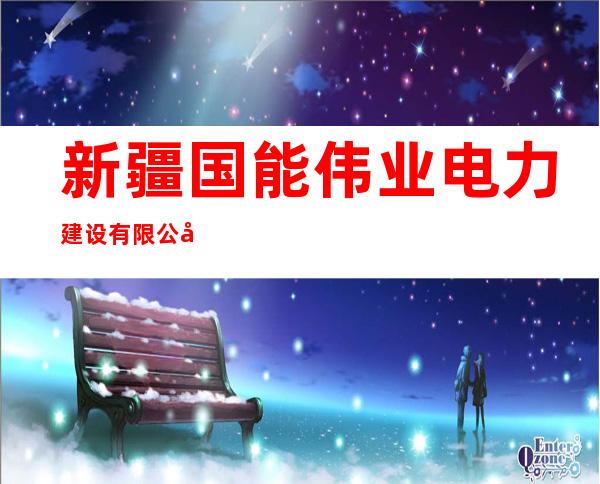 新疆国能伟业电力建设有限公司