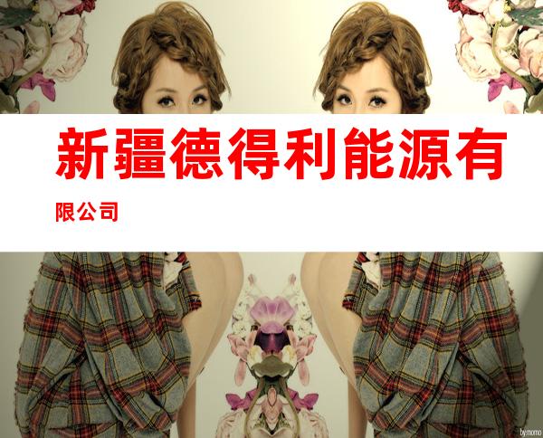新疆德得利能源有限公司