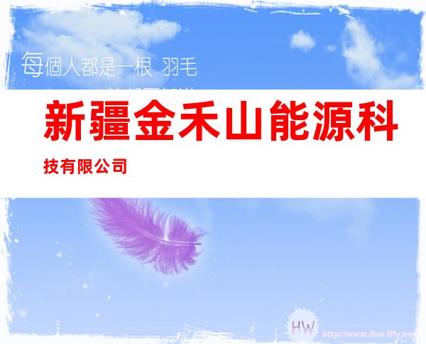 新疆金禾山能源科技有限公司