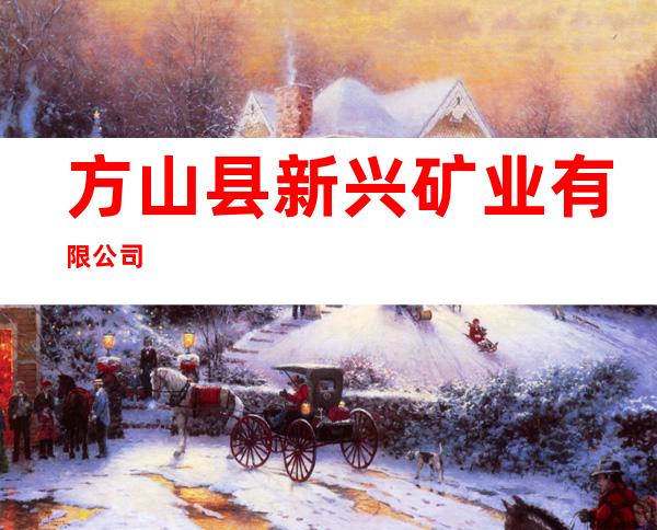 方山县新兴矿业有限公司