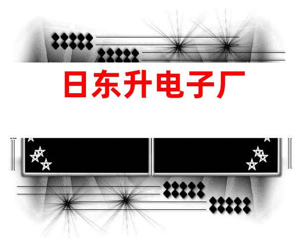 日东升电子厂