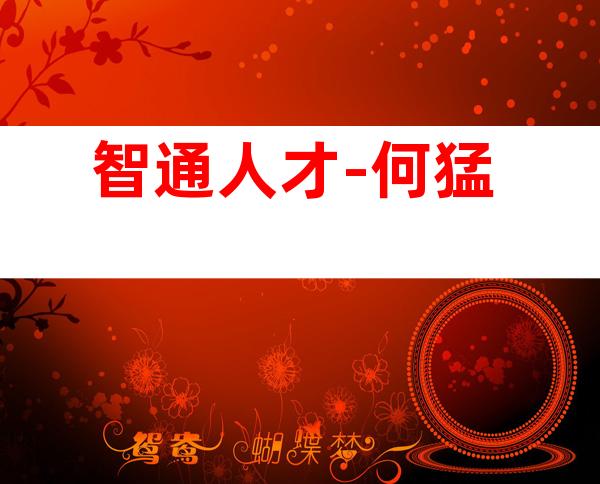 智通人才-何猛