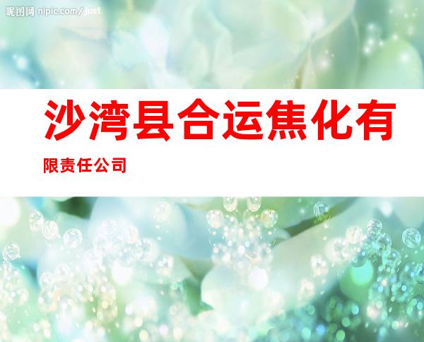 沙湾县合运焦化有限责任公司