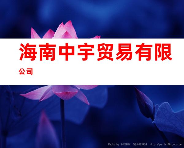 海南中宇贸易有限公司