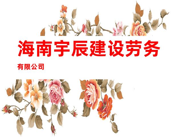 海南宇辰建设劳务有限公司