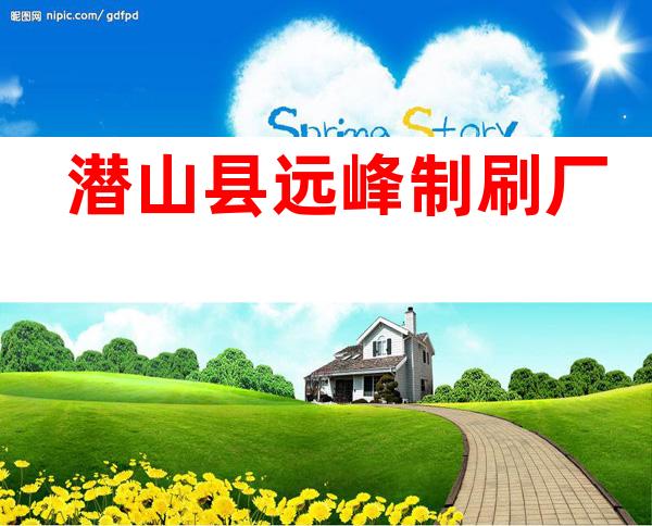 潜山县远峰制刷厂
