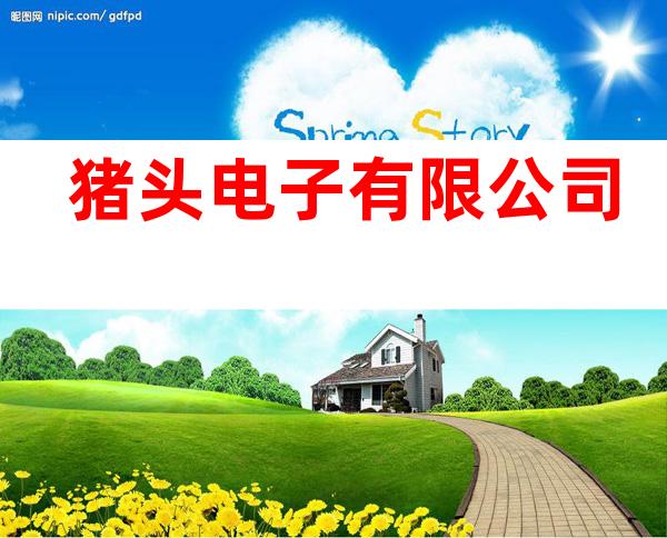 猪头电子有限公司
