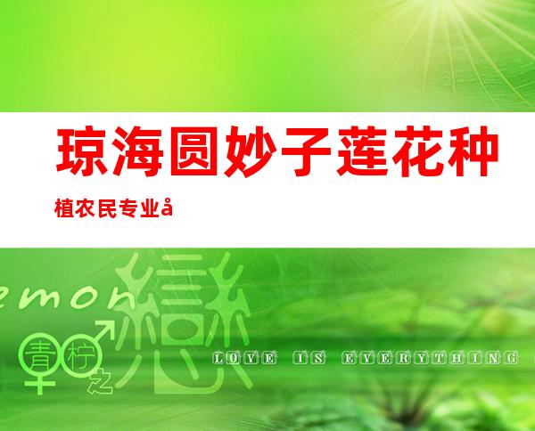 琼海圆妙子莲花种植农民专业合作社