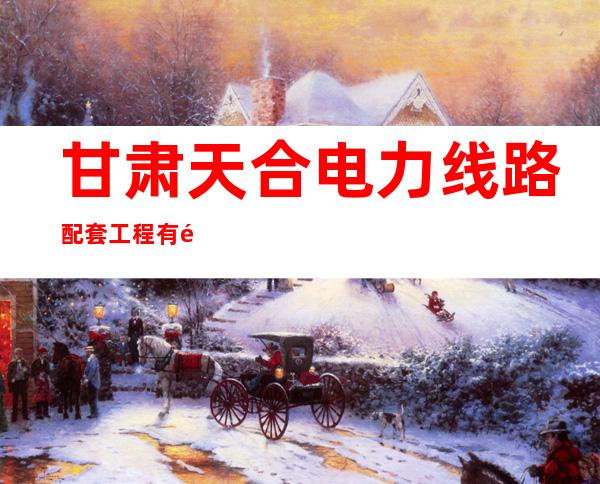 甘肃天合电力线路配套工程有限公司