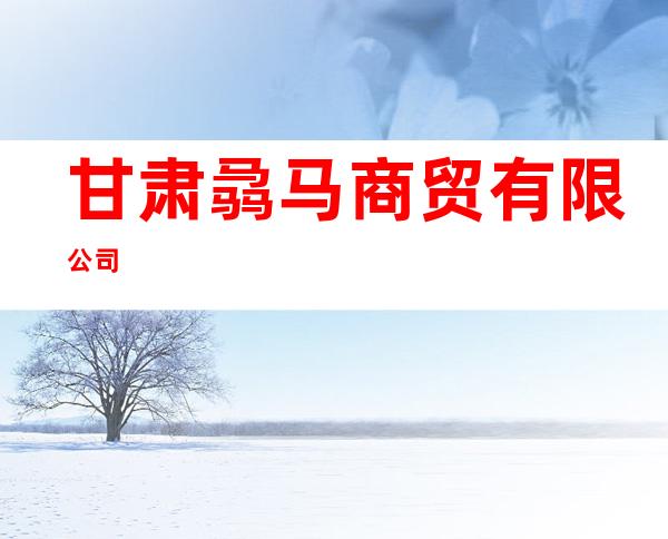 甘肃骉马商贸有限公司