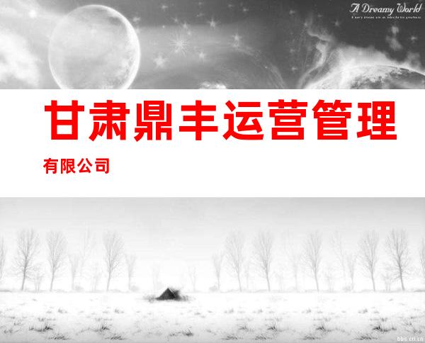 甘肃鼎丰运营管理有限公司