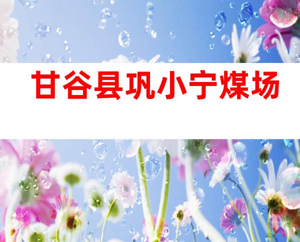 甘谷县巩小宁煤场
