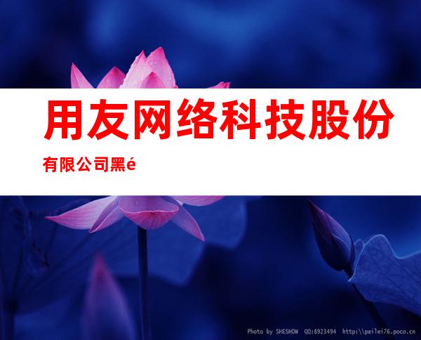 用友网络科技股份有限公司黑龙江分公司