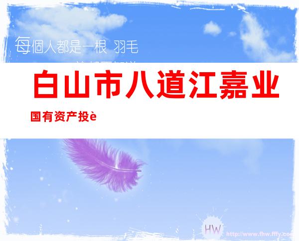 白山市八道江嘉业国有资产投资管理有限责任公司