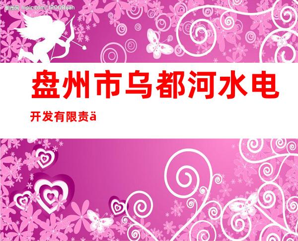 盘州市乌都河水电开发有限责任公司