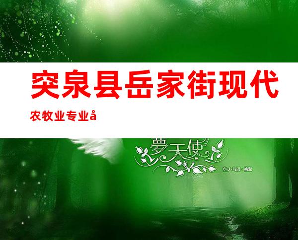 突泉县岳家街现代农牧业专业合作社