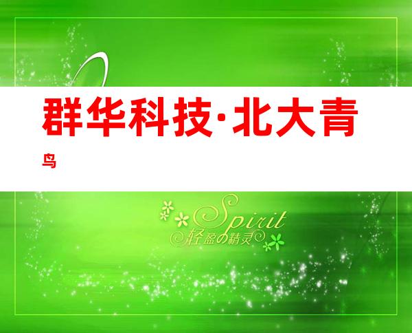 群华科技·北大青鸟