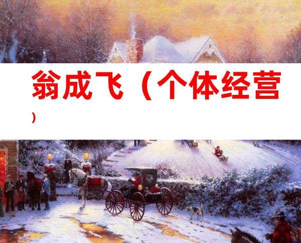 翁成飞（个体经营）