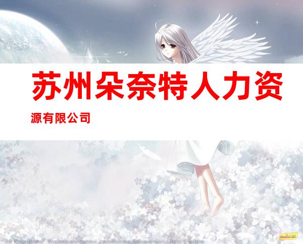 苏州朵奈特人力资源有限公司