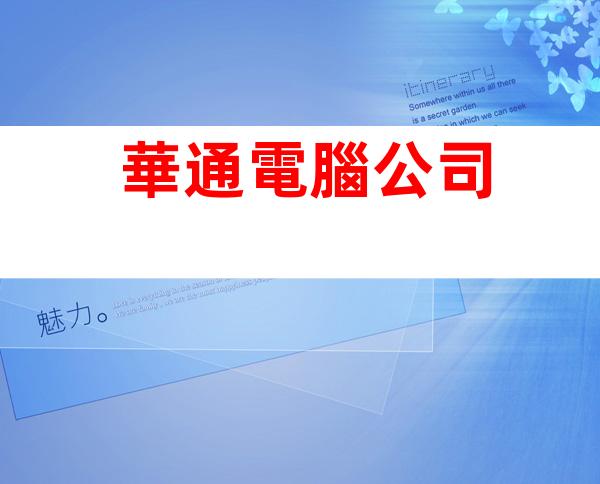 華通電腦公司