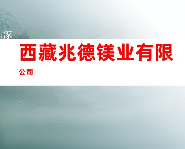 西藏兆德镁业有限公司