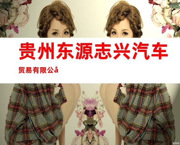 贵州东源志兴汽车贸易有限公司