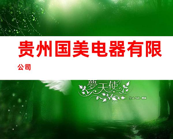 贵州国美电器有限公司
