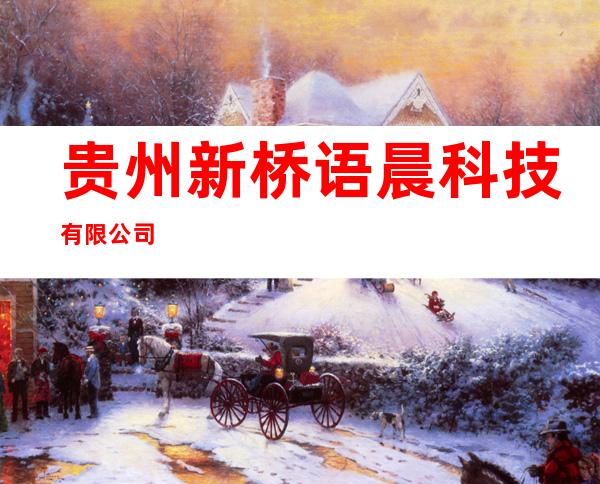贵州新桥语晨科技有限公司