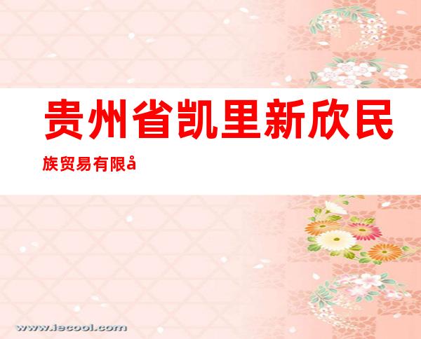 贵州省凯里新欣民族贸易有限公司