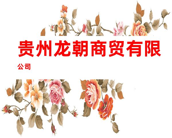 贵州龙朝商贸有限公司
