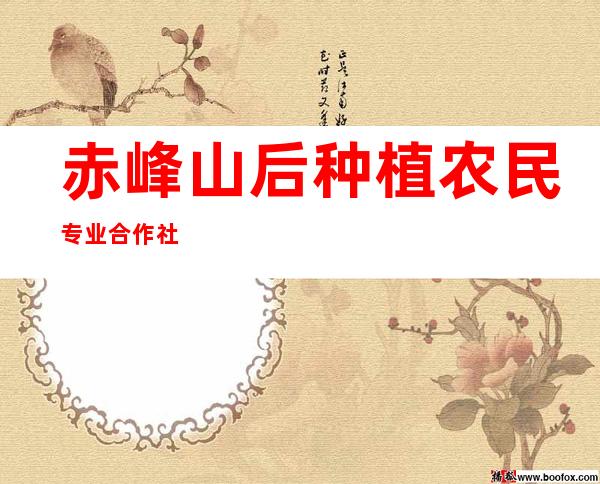 赤峰山后种植农民专业合作社