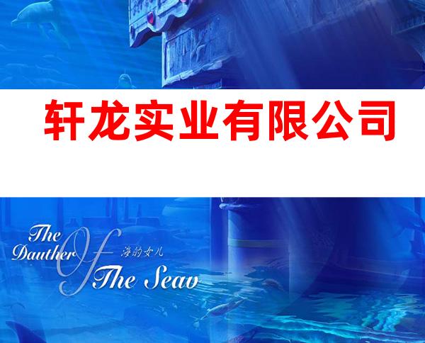 轩龙实业有限公司
