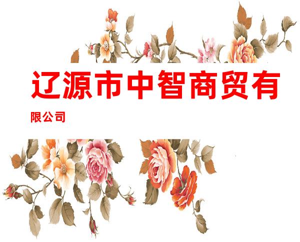 辽源市中智商贸有限公司