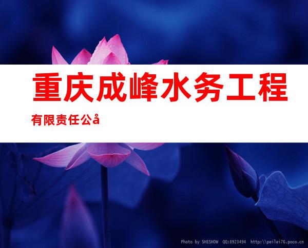 重庆成峰水务工程有限责任公司伊犁分公司