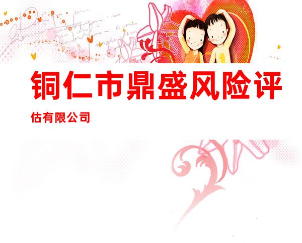 铜仁市鼎盛风险评估有限公司