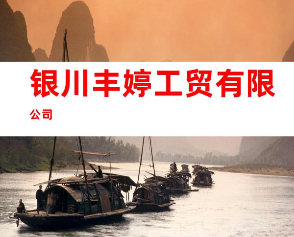 银川丰婷工贸有限公司