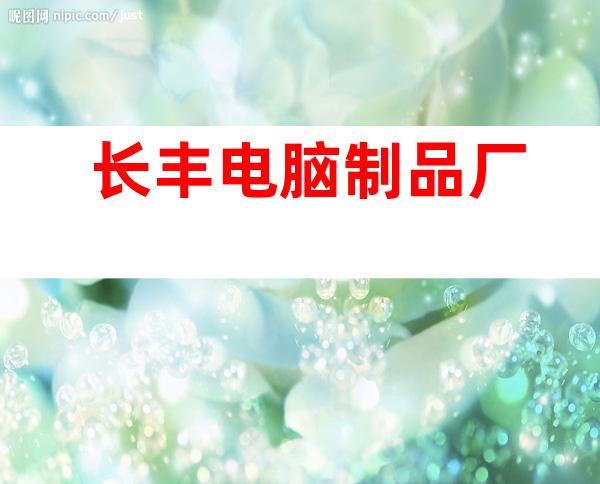 长丰电脑制品厂