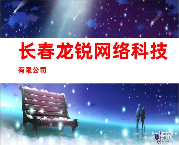 长春龙锐网络科技有限公司