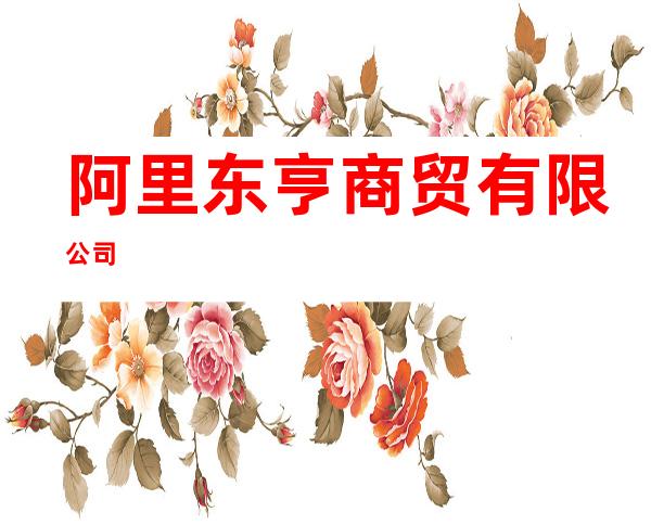 阿里东亨商贸有限公司