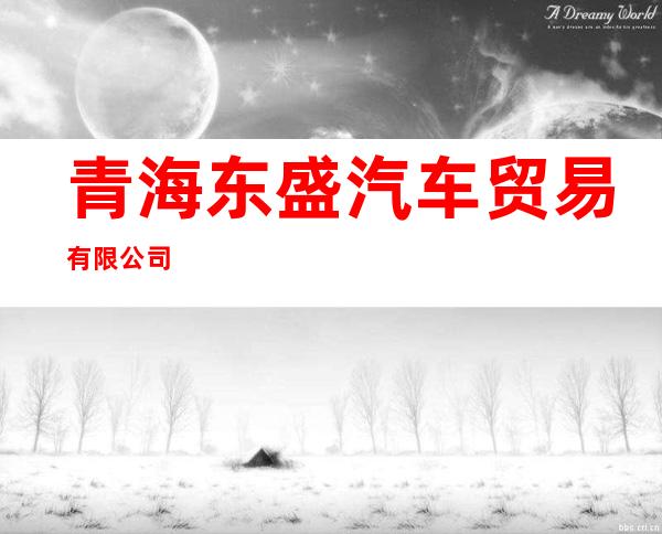 青海东盛汽车贸易有限公司