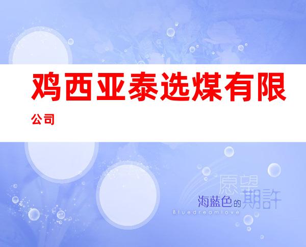 鸡西亚泰选煤有限公司